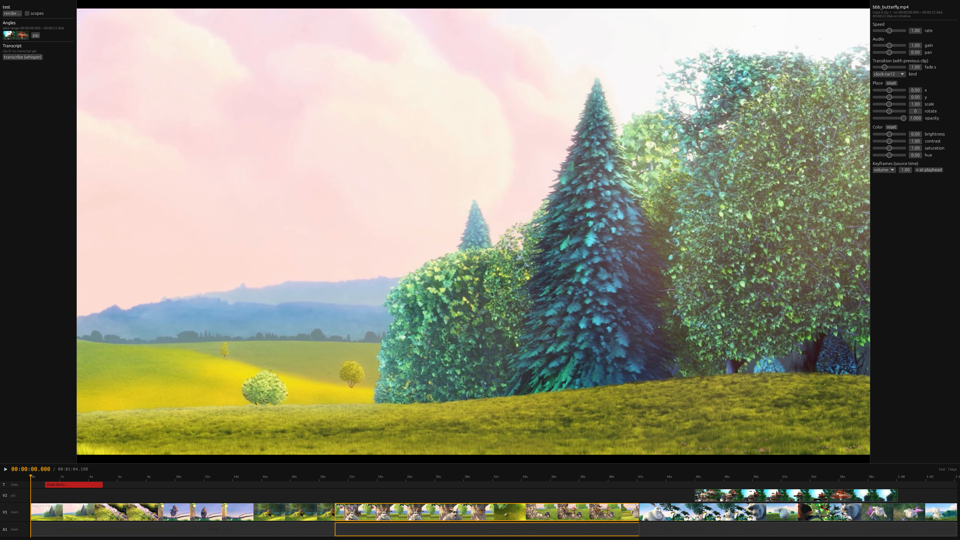 The Viode editor: live preview above a filmstrip timeline